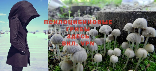 амф Арсеньев