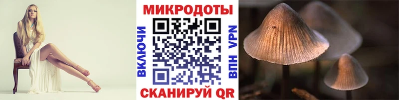 купить закладку  Северо-Курильск  Псилоцибиновые грибы Cubensis 